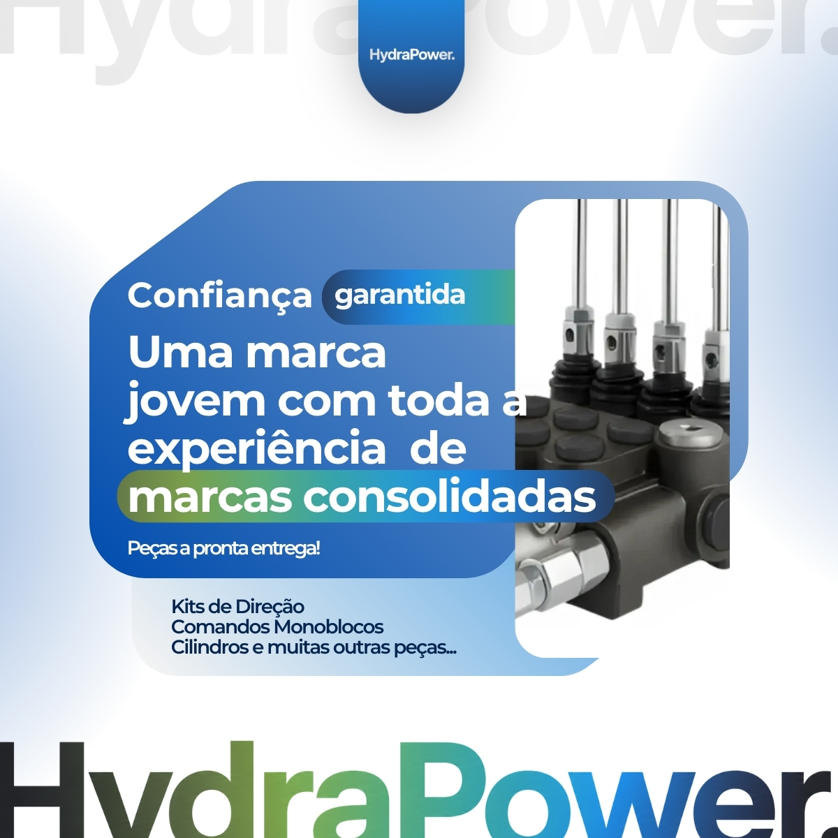 Cilindro Flutuação TC 5090 - CNH -P/Impl. Agrícola - Imagem 4
